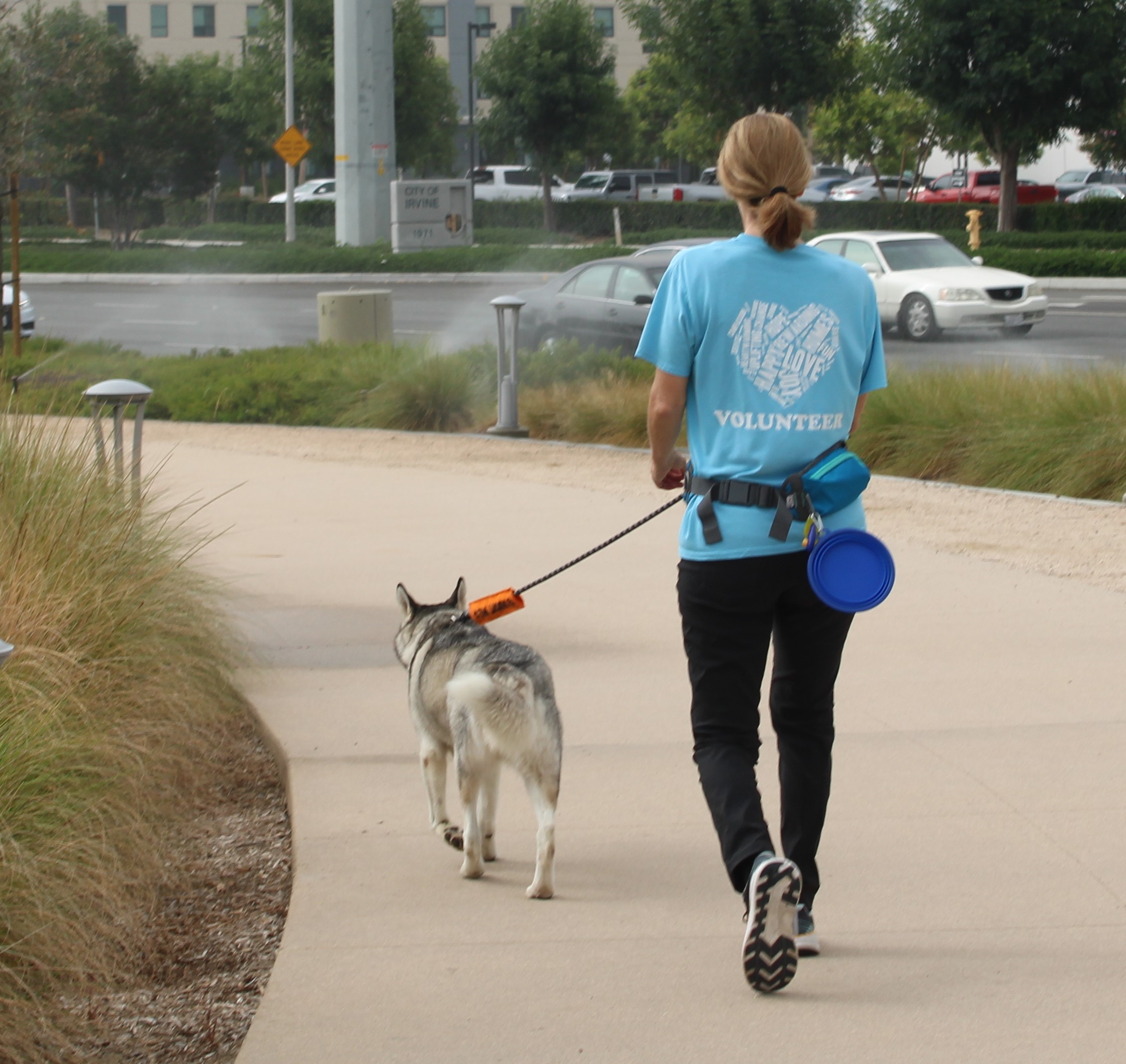 Shelter Volunteer Positions OC Animal Care